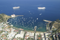 Aerial Photo of Harbor with Cruise Ships